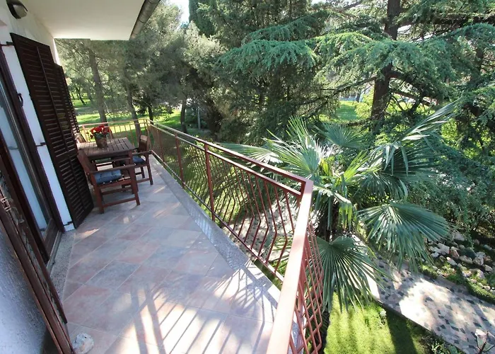 Apartment Clementina Visnjan